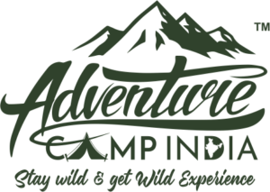 Best Travel Company in Gujarat